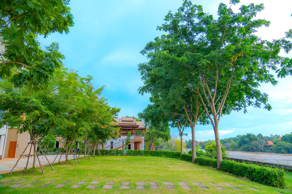 thai01